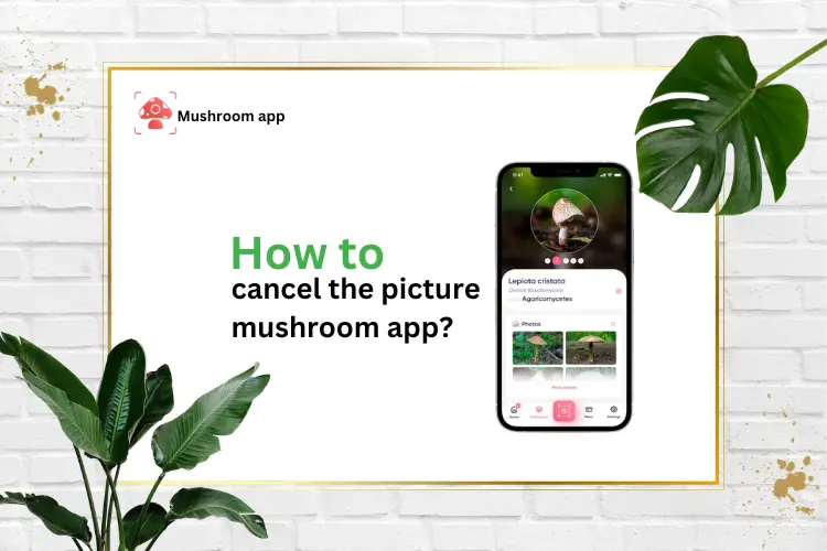 Cancel Picture Mushroom App