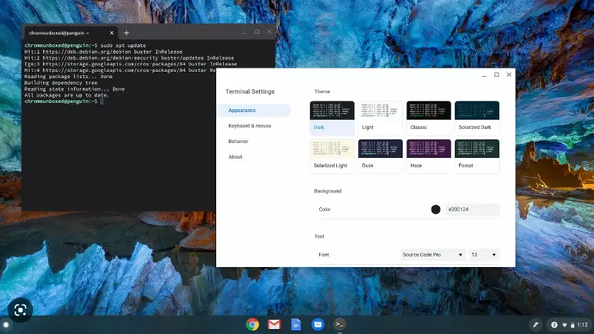 Linux Terminal is available for Chrome OS